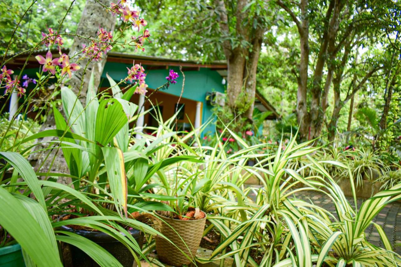 Palitha Homestay Sigiriya Exterior foto